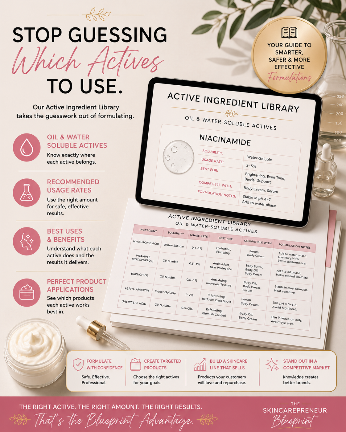The Skincarepreneur Blueprint